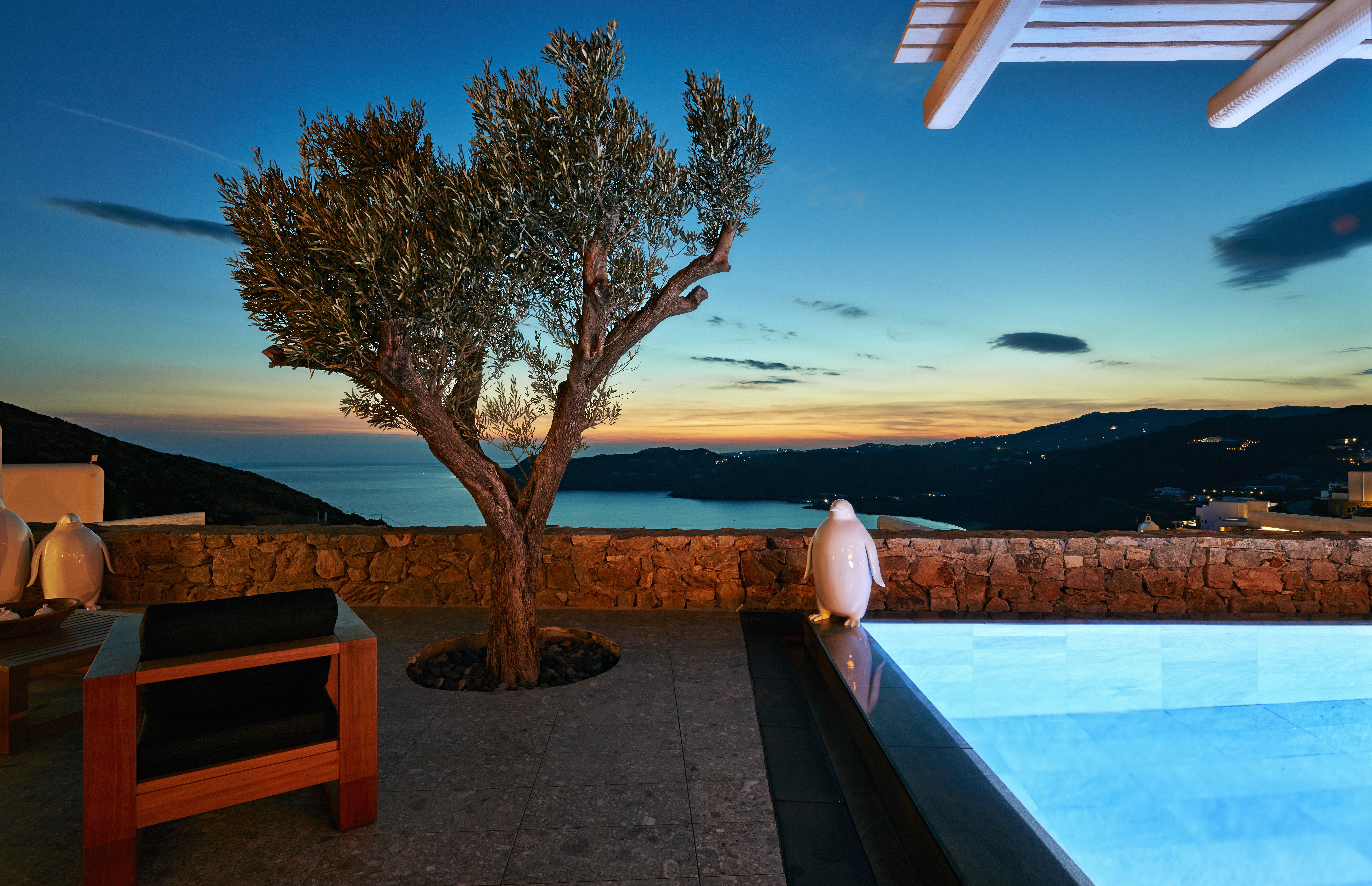 Myconian Avaton, A Member Of Design Hotels Ελιά Εξωτερικό φωτογραφία